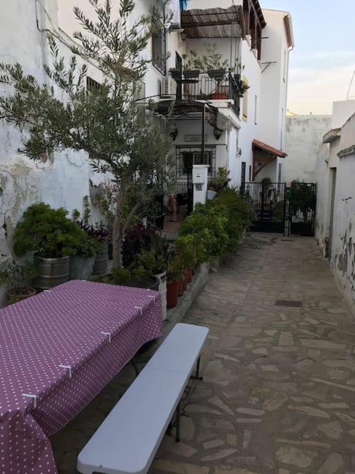 Amazing Sea And Mountain View! Casita Pinata Apartment Salobreña Екстериор снимка