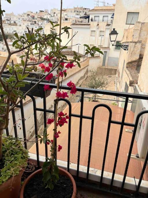 Amazing Sea And Mountain View! Casita Pinata Apartment Salobreña Екстериор снимка