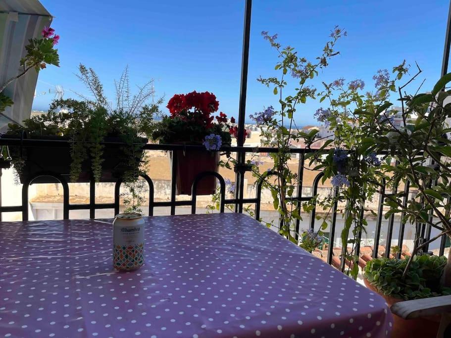 Amazing Sea And Mountain View! Casita Pinata Apartment Salobreña Екстериор снимка