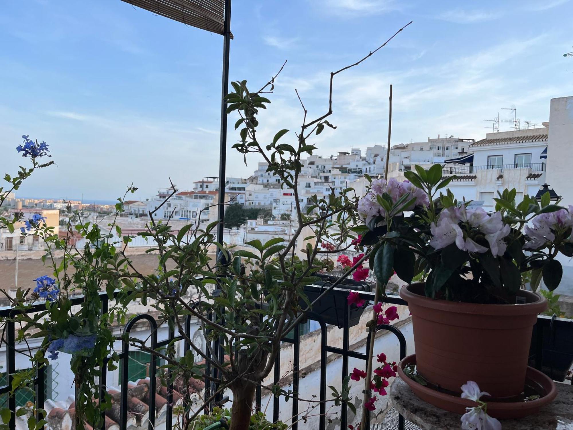 Amazing Sea And Mountain View! Casita Pinata Apartment Salobreña Екстериор снимка